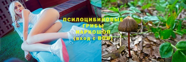 крисы Абинск