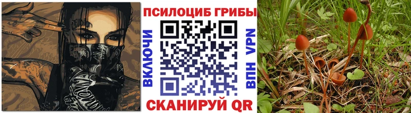 Псилоцибиновые грибы Magic Shrooms  наркошоп  hydra зеркало  Майский 